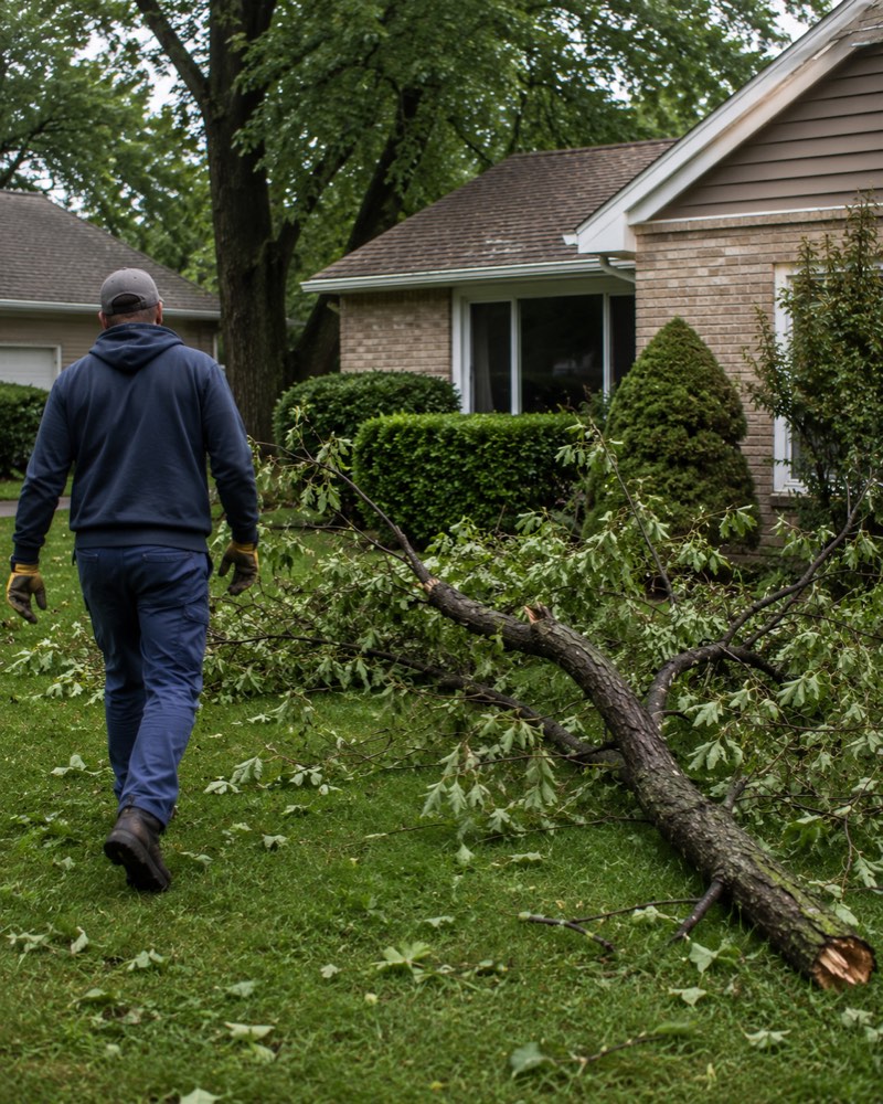 storm debris removal in a Rockford IL yard